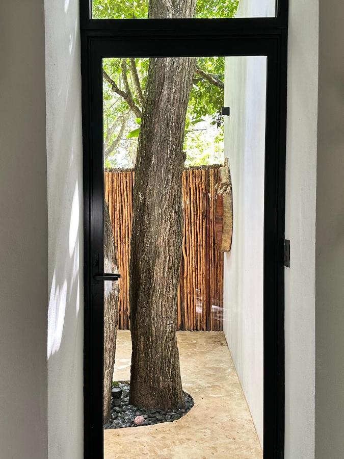 הוילה Cenote Azul Casa Arabe מראה חיצוני תמונה