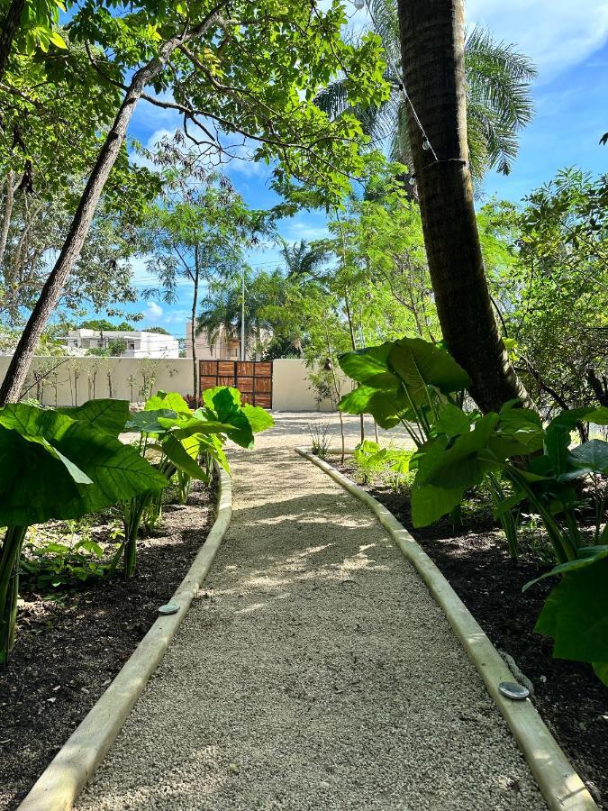 הוילה Cenote Azul Casa Arabe מראה חיצוני תמונה