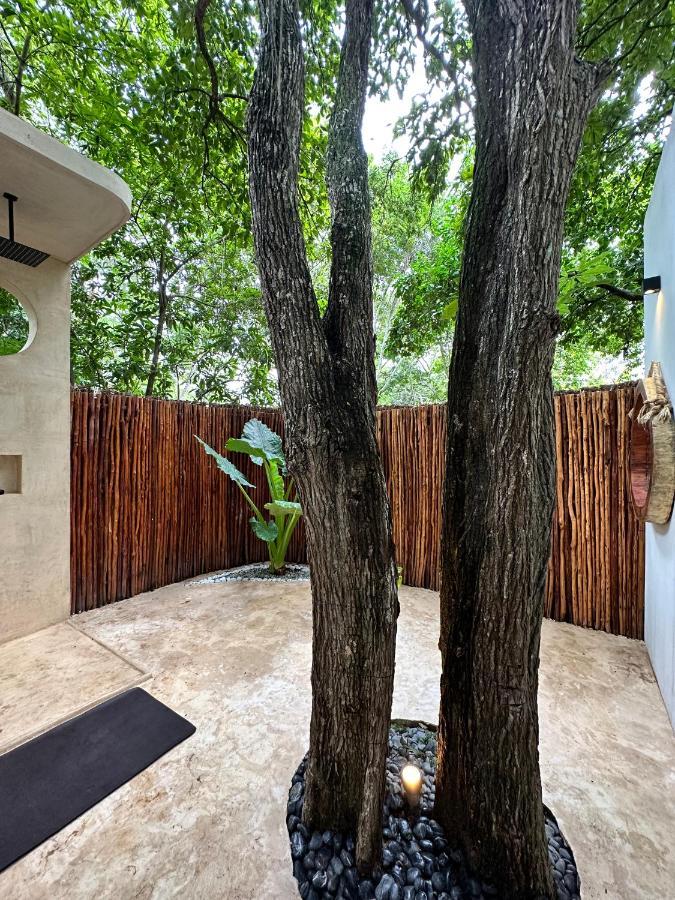 הוילה Cenote Azul Casa Arabe מראה חיצוני תמונה